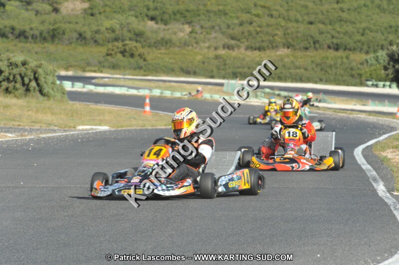 DSC (4033).JPG